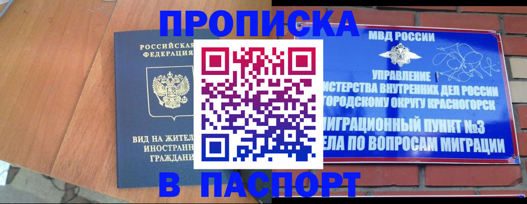 найти адрес прописки в Новодвинске